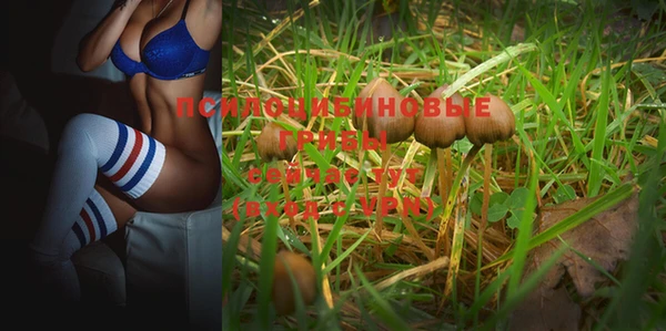 MESCALINE Бородино