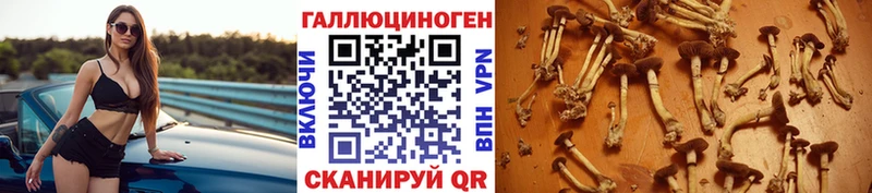 Псилоцибиновые грибы GOLDEN TEACHER Короча