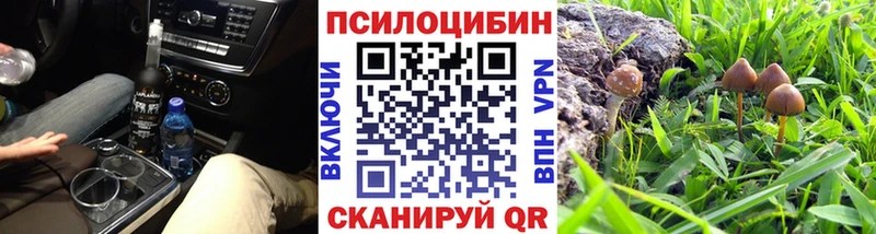 хочу   Короча  Псилоцибиновые грибы MAGIC MUSHROOMS 